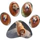 thumbnail image 5 of ¡Ahorra en Grande!, Peluca para perro con cola de animal, melena para perro con orejas, disfraz de melena para animales de compañía, botón ajustable Akmoler, 5 of 8