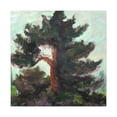 thumbnail image 1 of Cedar Tree Expressionism - Canvas, 1 of 10