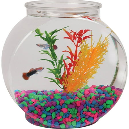 How To Decorate Fish Bowl Alluring Hawkeye 12Gallon Fish Bowl Drum Shaped Shatterproof Plastic 2018 How To Decorate Fish Bowl Classy Hawkeye 12Gallon Fish Bowl Drum Shaped Shatterproof Plastic Review