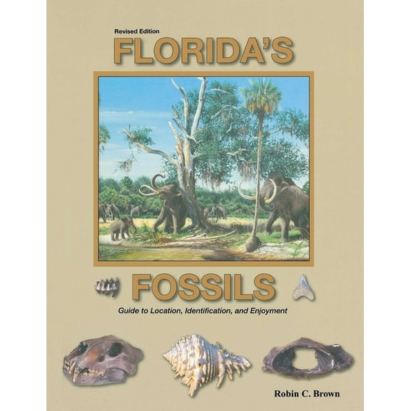 Florida's Fossils, (Paperback)