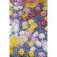 thumbnail image 2 of Monet, Claude 17x24 Black Modern Framed Museum Art Print Titled - Museumysanthemums, 2 of 4