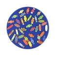 thumbnail image 1 of Matching Board Games Wooden Memory Candy Game Early Learning Toy for Children, 1 of 9