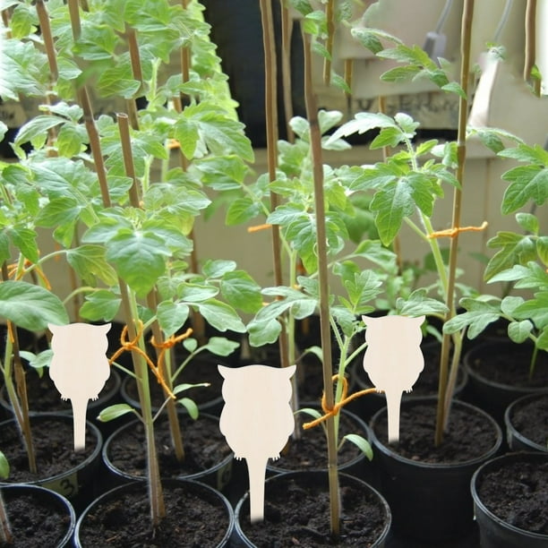 pstuiky Letrero de madera creativo para plantas de jardinería (10 unidades). Se puede escribir en el suelo.