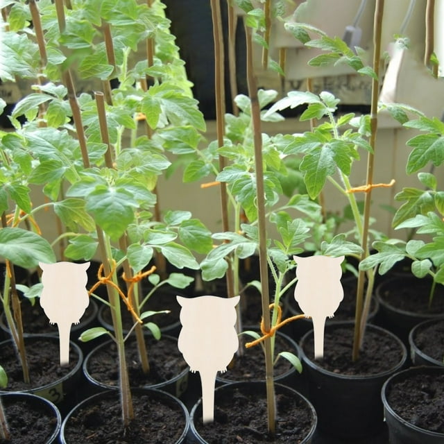 Letrero de madera con etiqueta para plantas de jardinería creativa, se puede escribir, insertar en el suelo, 10 unidades