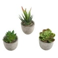 thumbnail image 6 of Attractive set of 3 potted artificial succulents for home and office decoration, 6 of 10