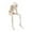 Type-1, variant on 1PC Sparkling Glitter Gold Poseable Hanging Skeleton Outdoor and Indoor Decoration, Halloween Parties, Halloween Glitter Skeleton Decorations,Sparkling Glitter Silver Hanging Skeleton,4.7x15.7 Inch
