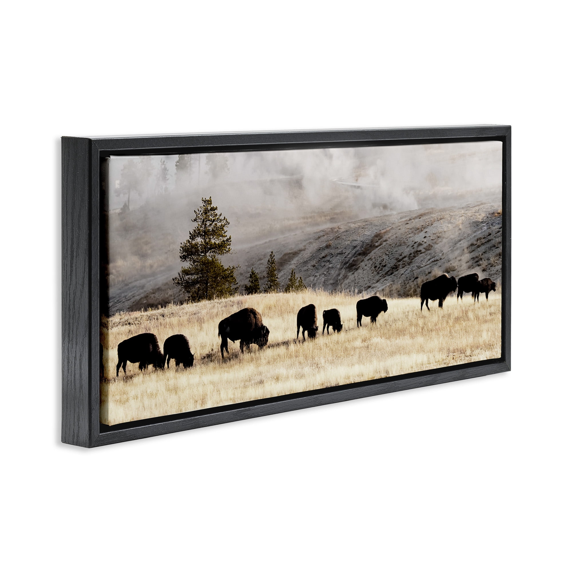 Stupell Industries Grazing Bison Foggy Countryside Animals & Insects Photography Black Floater Framed Canvas Art Print Wall Art, 25 x 11
