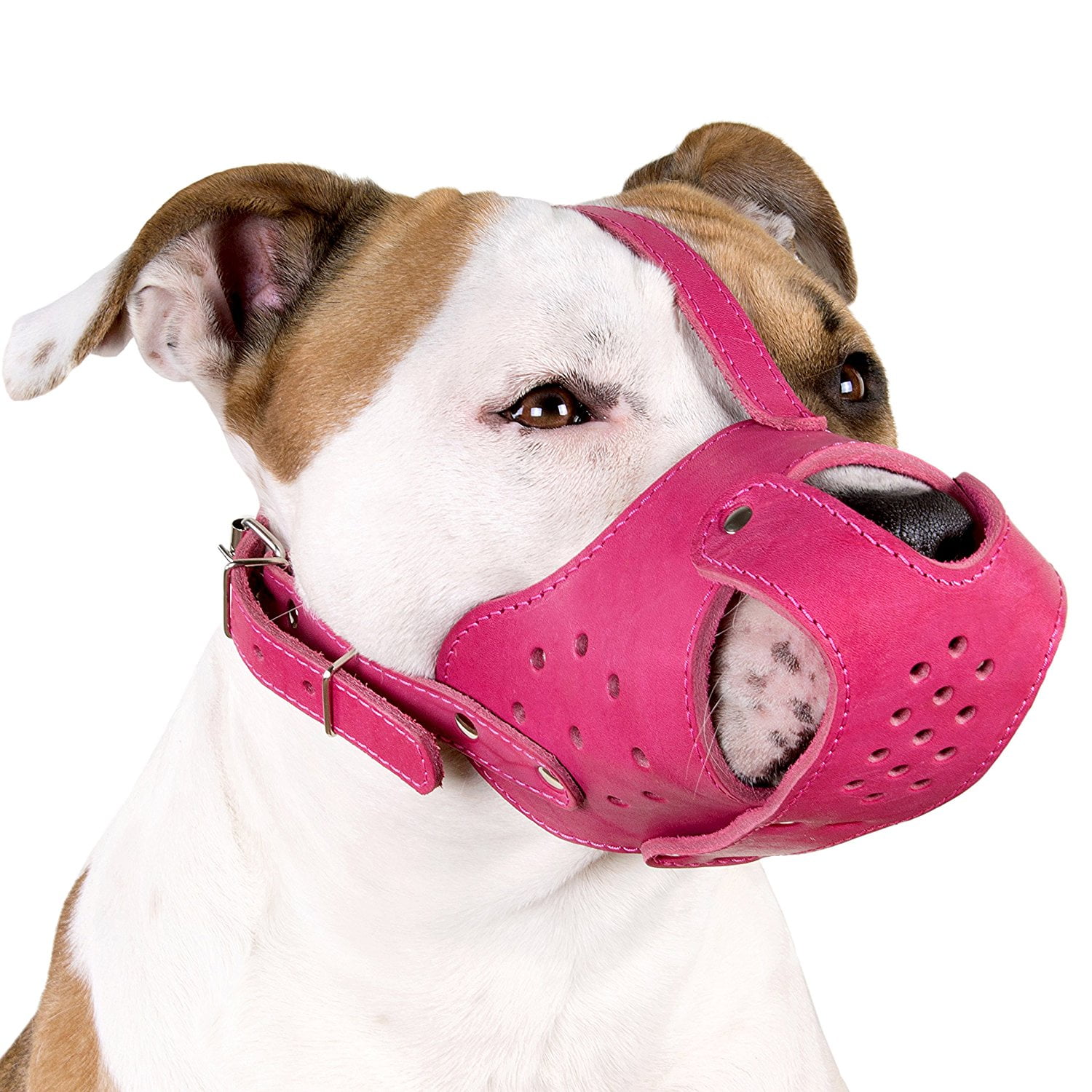 leather dog muzzles for pitbulls