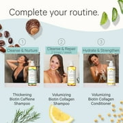 شامبو Tree to Tub Biotin Fine Hair Thickening for Thicker، Fuller Volume - Gentle Volumizing Sulfate Free Argan Oil Shampoo for Women & Men