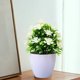 thumbnail image 5 of Maceta 1 unidad de bonsái artificial blanco de cinco hojas para decoración de interiores,hogar,jardín,terraza,oficina o escritorio. Rkxzt, 5 of 8