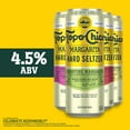 thumbnail image 3 of Topo Chico Hard Seltzer Margarita Variety Pack , 12 Pack, 12 fl oz Aluminum Cans, 4.5% ABV, 3 of 7