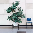 thumbnail image 4 of Fmxomd 1 PC Plant Stand, Heavy Duty Metal Stand Decorates Plants, Anti-Rust Flower Pot Stand, Round Plant Rack for Room Indoor and Outdoor Courtyard,Gardens, Black, 4 of 9