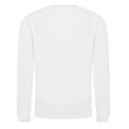 thumbnail image 2 of AWDis Just Hoods Boys/Girls Plain Crew Neck Sweatshirt, 2 of 4