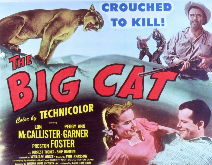 The Big Cat Movie POSTER Style B 11 X 14 1949 Walmart