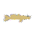 thumbnail image 1 of Package of 1, Large 12" x 3.75" x 0.125" Baltic Birch Plywood Catfish Wood Cutout for Art and Craft Project, Made in USA, 1 of 1