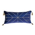 thumbnail image 1 of Parkland Collection PILL21267P Zella Transitional Blue Rectangle Throw Pillow, 1 of 6