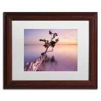 Trademark Fine Art "Water Tree XI" Canvas Art by Moises Levy White Matte, Wood Frame