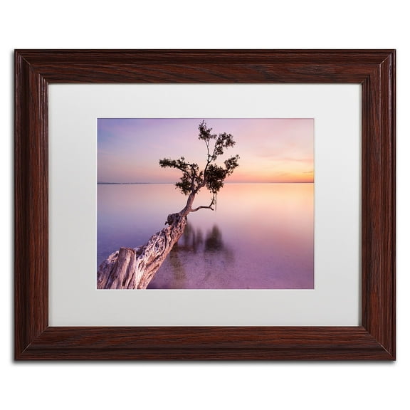 Trademark Fine Art "Water Tree XI" Canvas Art by Moises Levy White Matte, Wood Frame