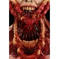 thumbnail image 2 of Masque d'Hôte pour Adulte - Masques Immortels, 2 of 9