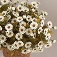 thumbnail image 6 of Artificial Daisy Flowers with Stems, 13.39 inch Fake Chamomile Bouquet, Wedding Floral Stem, Rustic Home Decor, Party Table Arrangement, Outdoor Faux Floral Spray for Vase Centerpiece, Fall Decor, 6 of 7