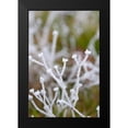thumbnail image 2 of Berzel, Erin 11x14 Black Modern Framed Museum Art Print Titled - Winter Frost I, 2 of 5