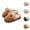 Coffee, variant on Fuzzy Slippers for Women 2025 Cute Cow Warm Cozy Plush Lined Slip On Slippers Indoor Non Slip Platform House Shoes