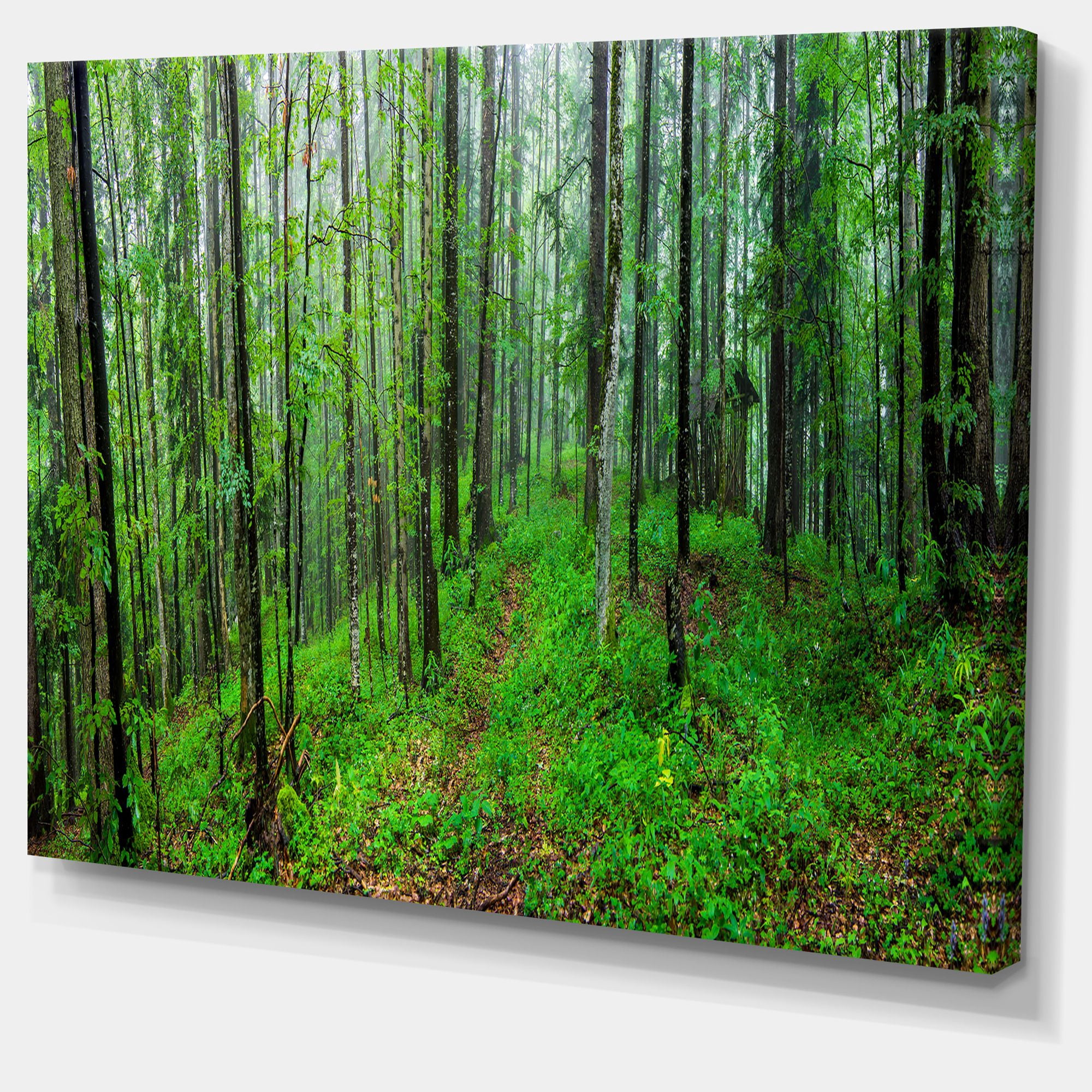 Designart 'Green Wild Forest with Dense Trees ' Forest Canvas Art Print