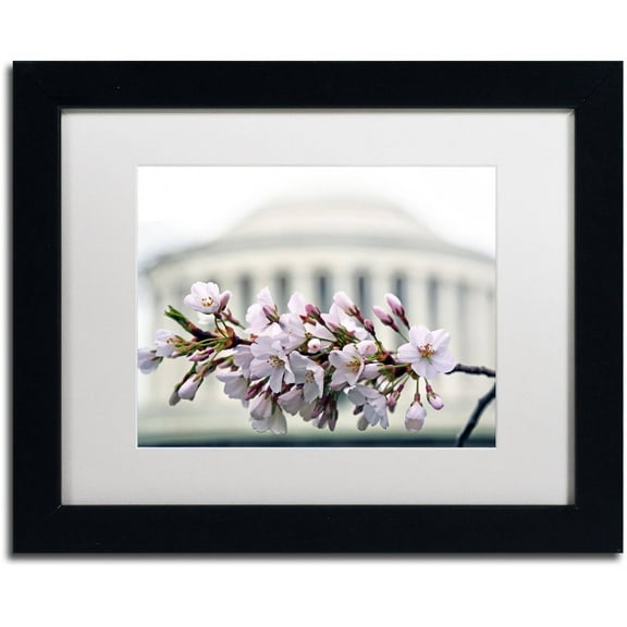 Trademark Fine Art "Jefferson Memorial Blossoms" Canvas Art by CATeyes, White Matte, Black Frame
