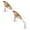 D, variant on Professional Floating Bass Lures - 5PCS Swimbait with Propeller Tail, Multi-Species Fishing Bait for Freshwater Saltwater, Fishing Tools for Bass, Catfish & Trout