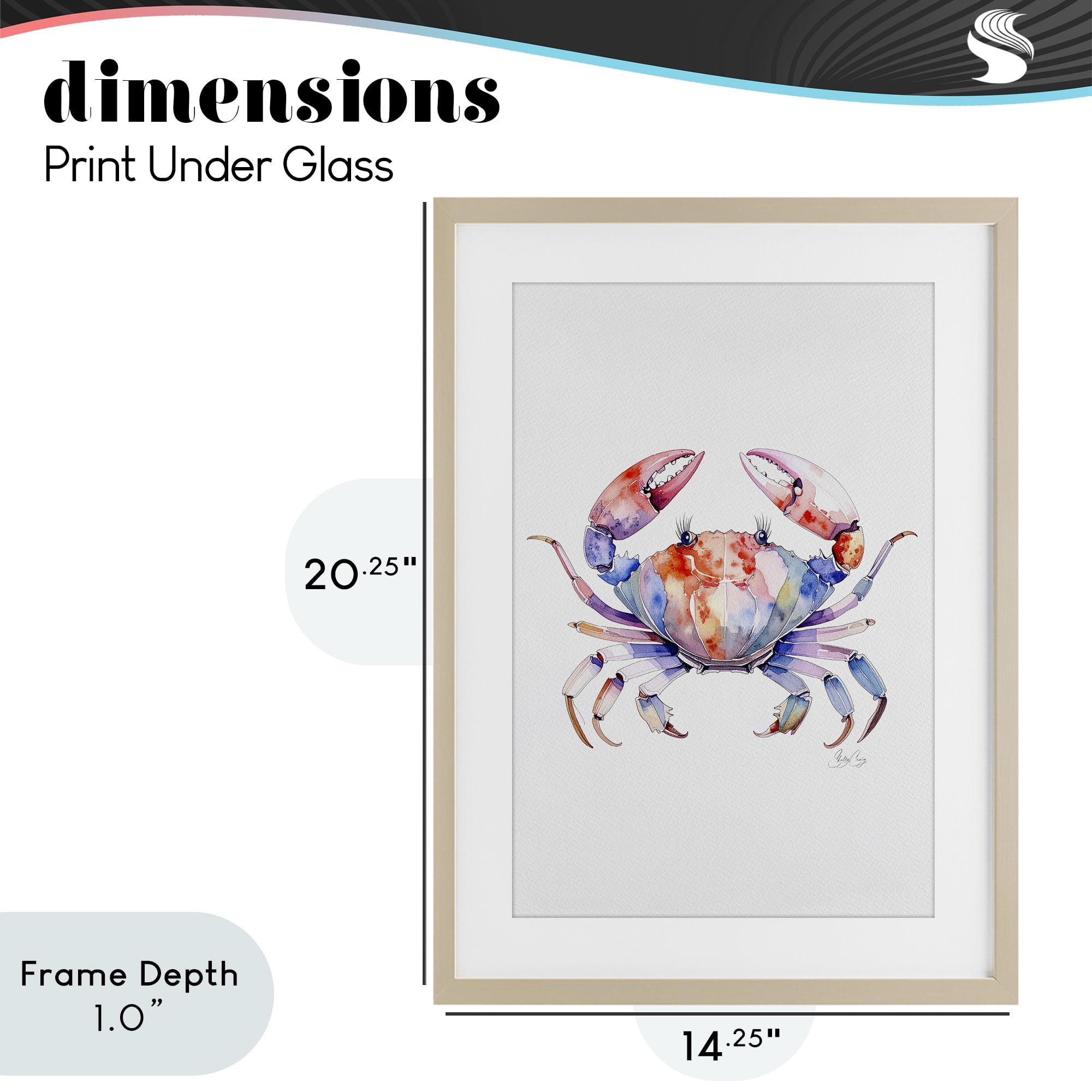 Stupell Industries Tide Dancer Crab Birch Framed Print Under Glass, design by Shelly Craig