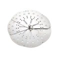 thumbnail image 1 of Stainless Adjustable Drop Lid Simmering Food Pot Cover Anti-Overflow Prevention Cover Steaming Rack, 1 of 5