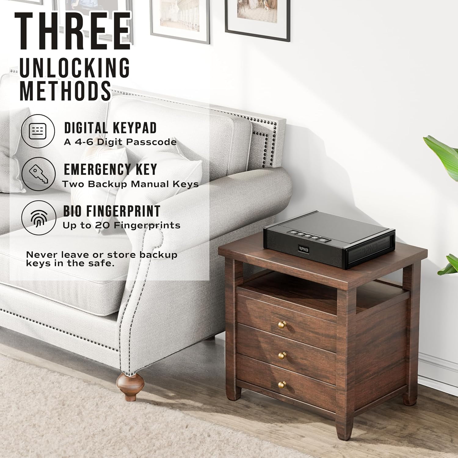 RPNB Gun Safe for Pistols Biometric Gun Safe with 3 Access Ways for 2 Pistols