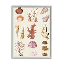 Stupell Industries Mixed Nautical Sea Life Corals Shells Graphic Art Gray Framed Art Print Wall Art, Design by Vision Studio