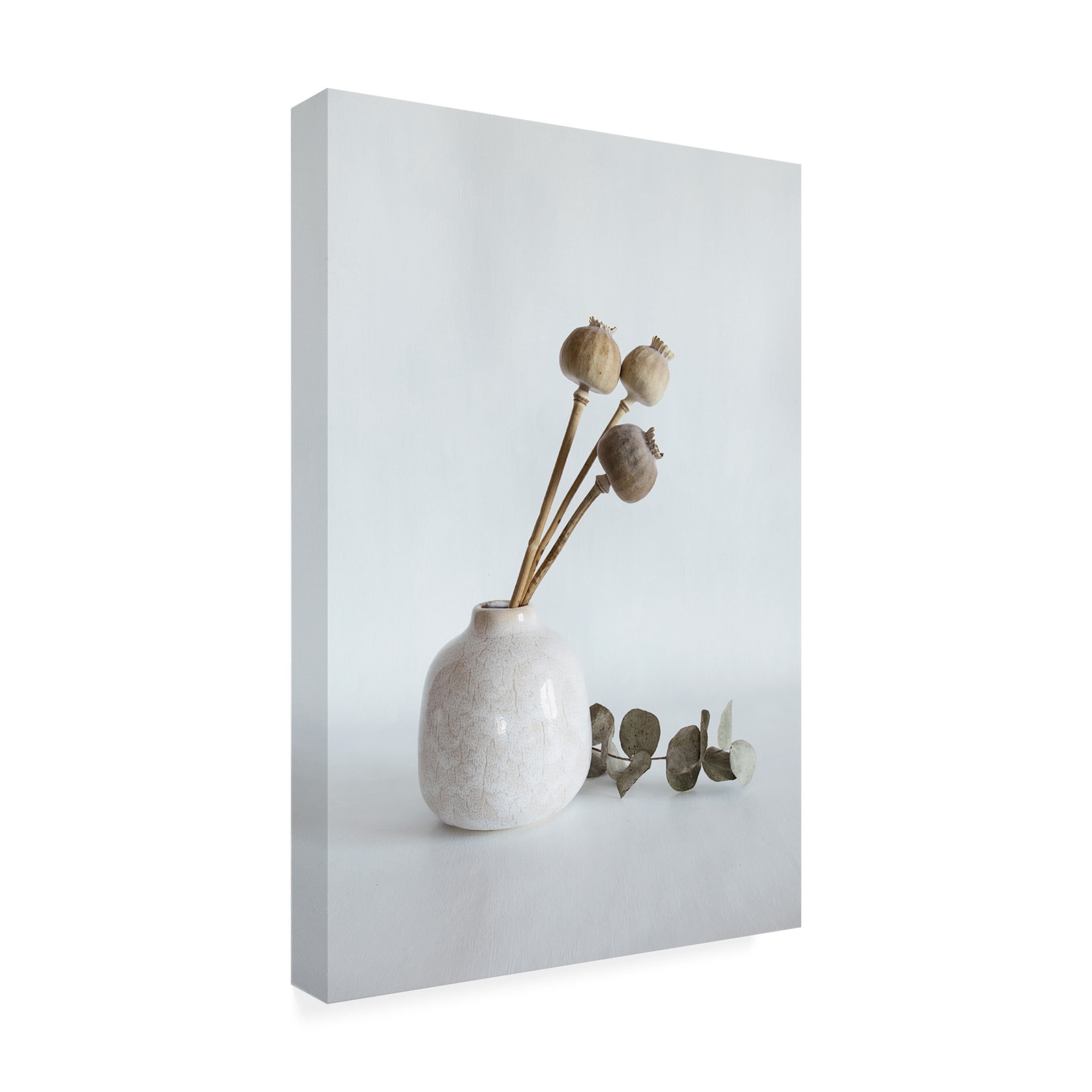 Trademark Fine Art Cicek Kiral Light Touches Gently Canvas Wall Art