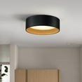 thumbnail image 5 of C Cattleya Black and Woodgrain Finish Integrated LED 3000K/4000K/5000K Flush Mount LED Ceiling Light, 5 of 7