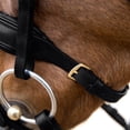 thumbnail image 4 of Horze Lester Dressage Snaffle Bridle w/reins, 4 of 6