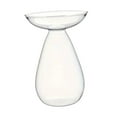 thumbnail image 3 of CoudarTitie Hydroponic Floral Vase, Plant Propagation Station, Elegant Decorative Glass Vase Transparent, 3 of 9