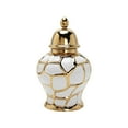 thumbnail image 1 of GROWTH TANK Light Luxury Ginger Jar, Floral Arrangement Collections Decorative Container for, 1 of 9