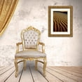 thumbnail image 3 of Welling, Dave 23x32 Gold Ornate Wood Framed with Double Matting Museum Art Print Titled - Oregon, Oregon Dunes NRA Dune pattern abstract, 3 of 4