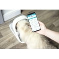 thumbnail image 4 of Sure Petcare Pet Feeder Connect, 4 of 6