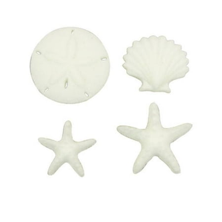 Beachcomber Assortment Sand Dollar Star fish Sea Shell Sugar Decorations Toppers Cupcake Cake Cookies Birthday Favors Party 12 (Best Sugar Cookie Frosting)