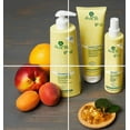 thumbnail image 5 of Alama FREQUENT Shampoo Gluten FREE & VEGAN, 5 of 5