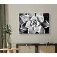 thumbnail image 2 of wall26 Canvas Wall Art Short Leaved Aloe Brevifolia Succulent Botanical Plants Photography Modern Art Farmhouse/Country Dramatic Black and White for Living Room, Bedroom, Office - 24x36 inches, 2 of 4