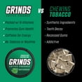 Grinds Coffee Pouches 10 Cans of Wintergreen Tobacco Free, Nicotine