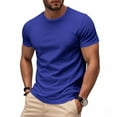 thumbnail image 2 of Iugvhana Men's Quick-Dry T-Shirt Outdoors Sports Running Shirts Crewneck Summer Short Sleeve Tees Tops Breathable T-Shirts Blue L, 2 of 9