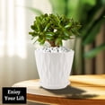 thumbnail image 4 of FOUKUS 6 inch Plastic Plant Pots: 5 Pack Indoor Planters with Drainage and Tray Outdoor Flower Pots, White, 4 of 6