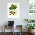 thumbnail image 3 of Art.com Bessa Strawberries Art Print by Bessa, White Frame Wall Art, 32" x 40", 3 of 5