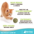 thumbnail image 4 of Raw Paws Compressed Catnip Ball Toy, 6-ct - Catnip Toys for Indoor Cats - All Natural Catnip for Cats - Cat Toy Interactive Ball - Cat Kicker Toy Catnip Cat Toys - Cat Nip Kitty Toys - Cat Ball Toy, 4 of 15