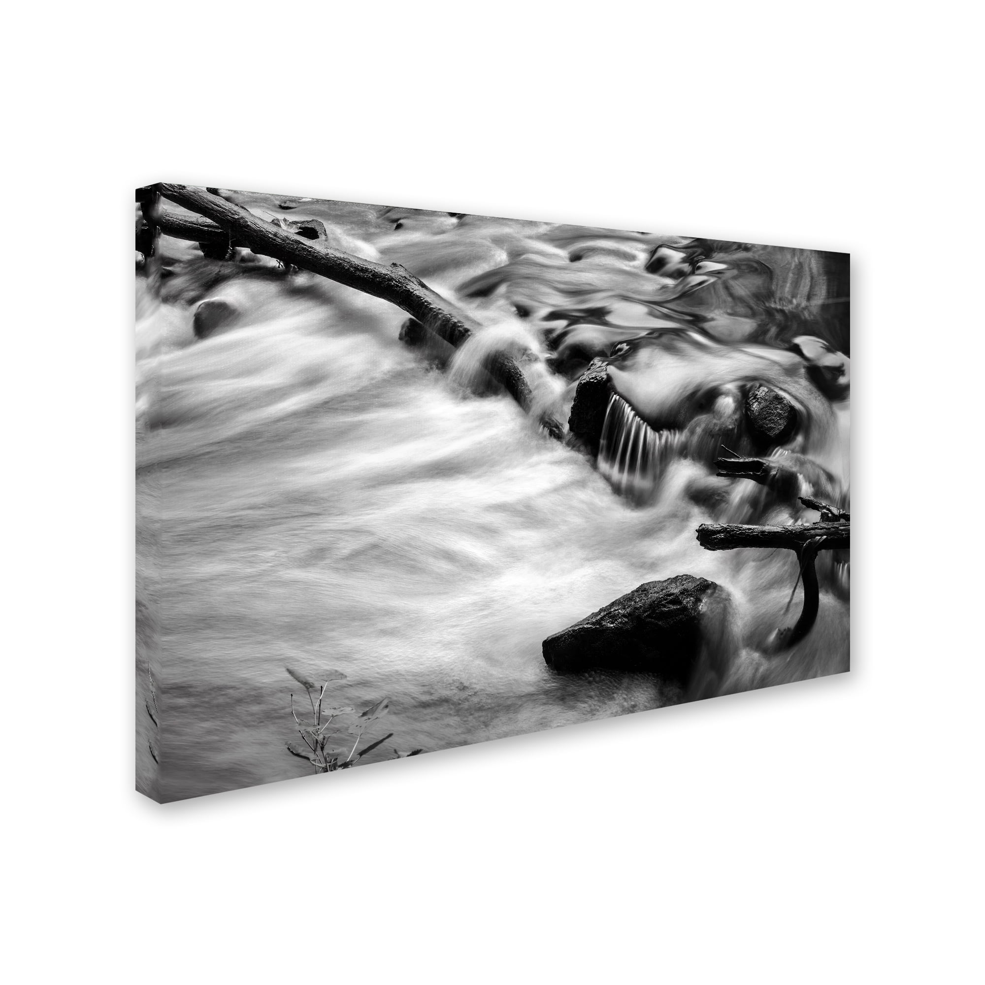 Trademark Fine Art "Black River" Canvas Art by Jason Shaffer