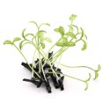 thumbnail image 3 of FurNest 9Pcs Grass Hair Clips Bean Sprout Hairpins Cute Grass Barrette Funny Green Leaf Pins Headwear Hair Par Cosplay Plant An, 3 of 9